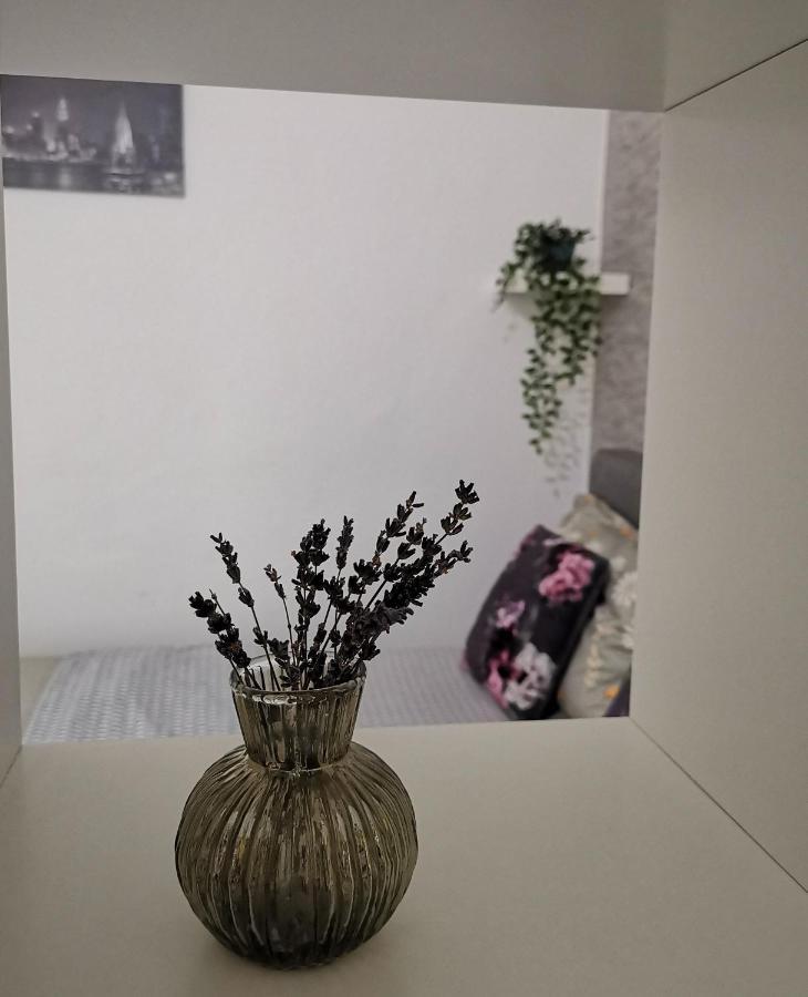 Sunset Bucharest Apartment ภายนอก รูปภาพ